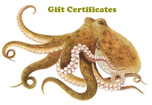 octopus_gift